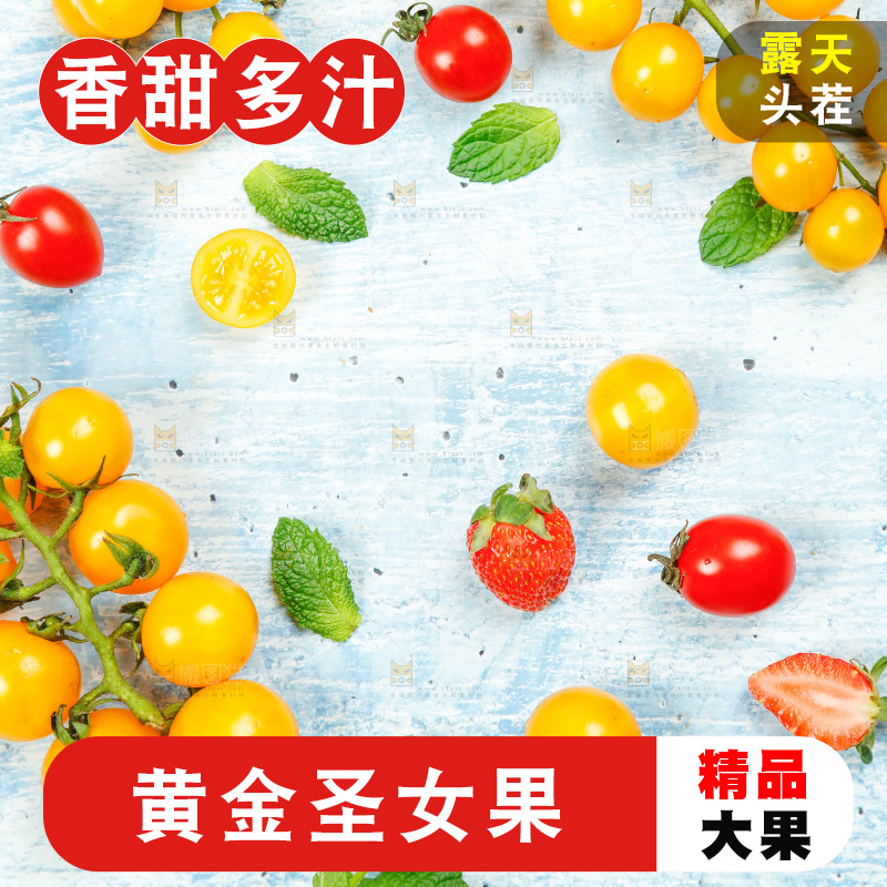 浅底上摆放着黄金圣女果