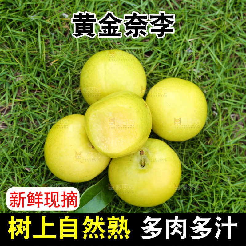 草地上摆放着黄金李
