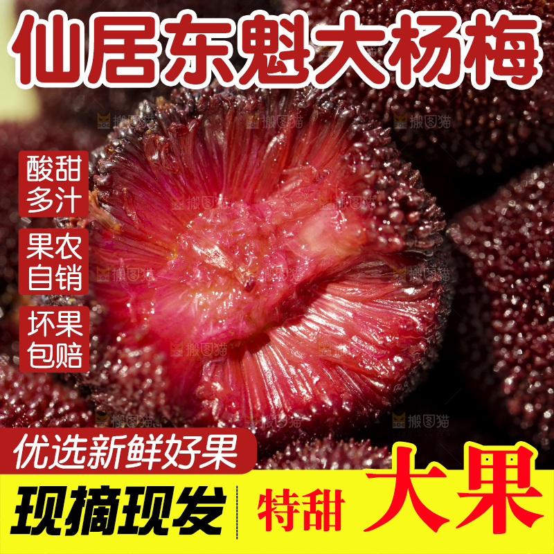 摆放着一堆的杨梅
