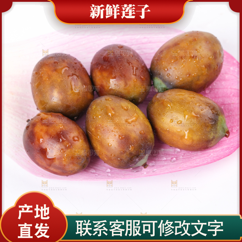 荷花上摆放着莲子