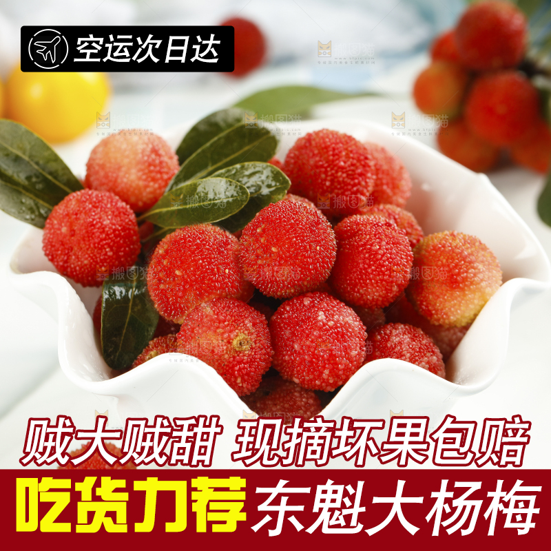 盘子里装着杨梅