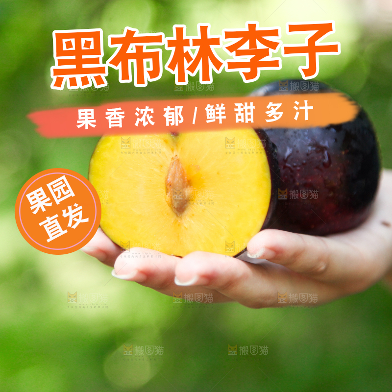 手里拿着黄肉黑布李