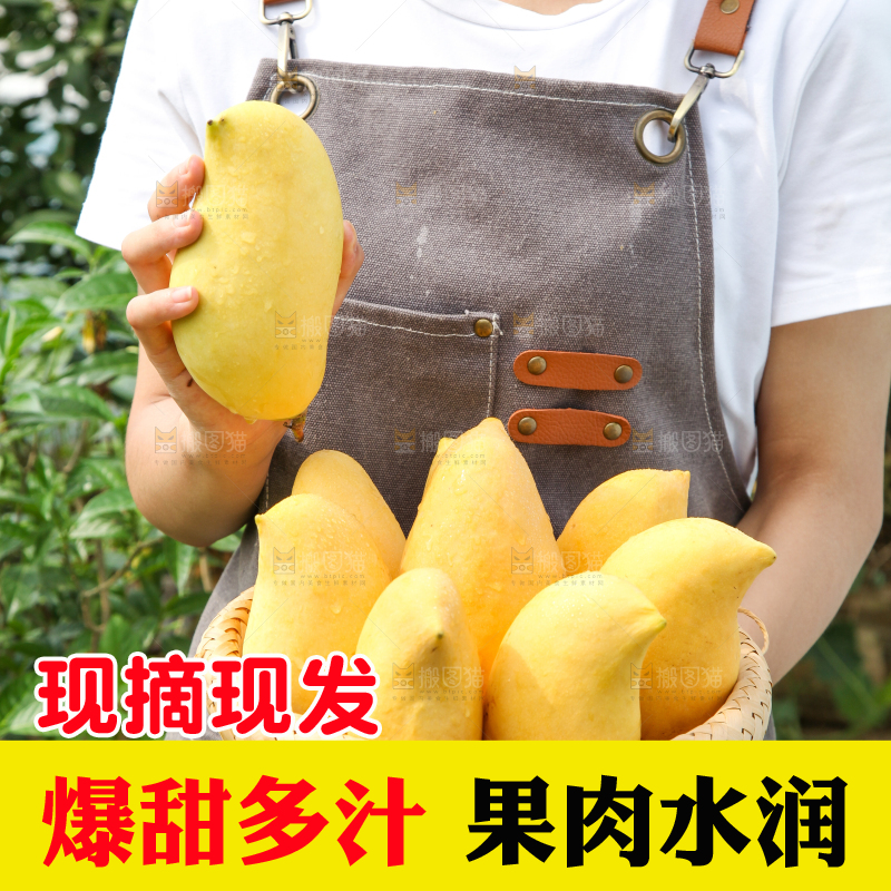 手里端着一篮芒果