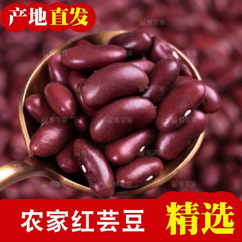 勺子上放着红芸豆