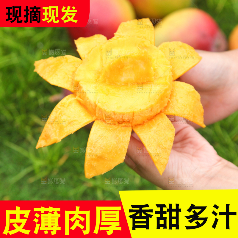 手里拿着苹果芒