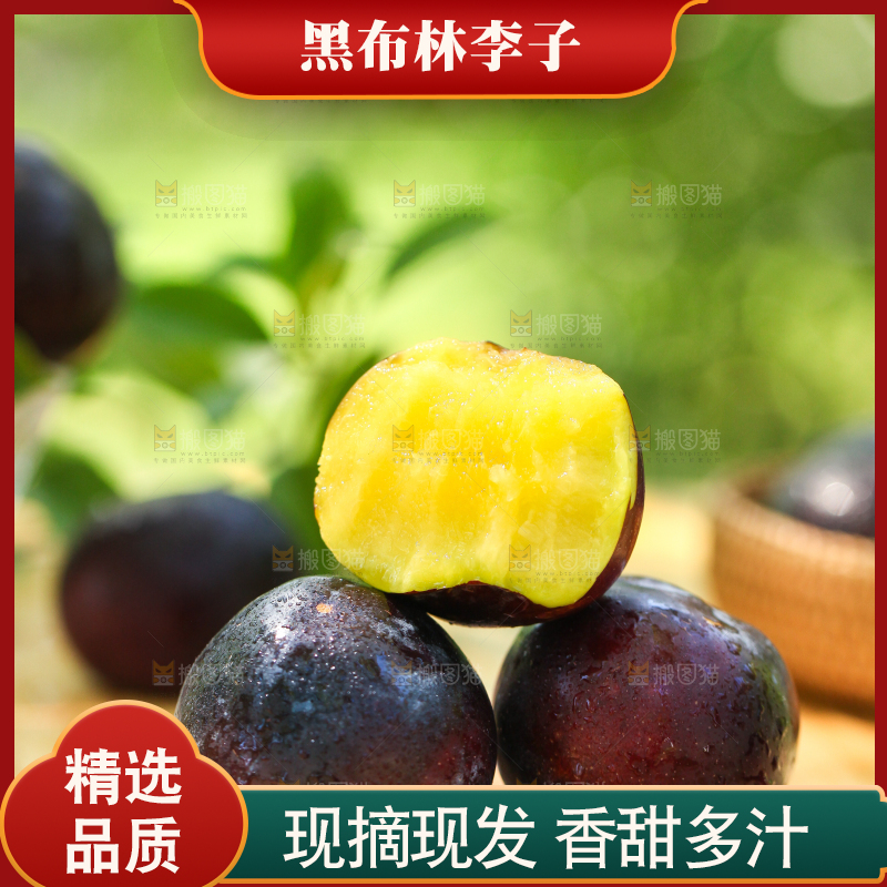 木底上摆放着黑布李