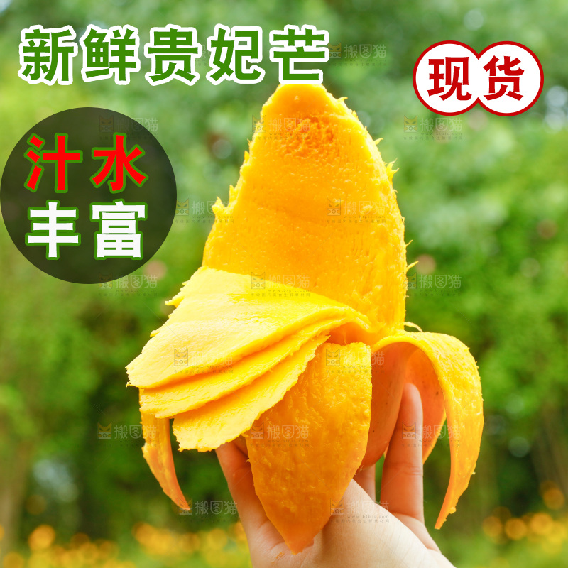 手里拿着切开的彩芒