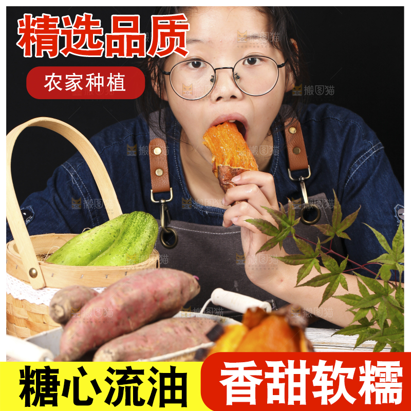 木底上摆放着烟薯25号