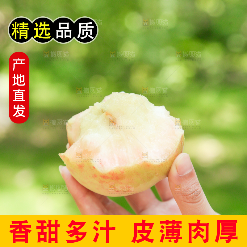手里拿着新鲜毛桃