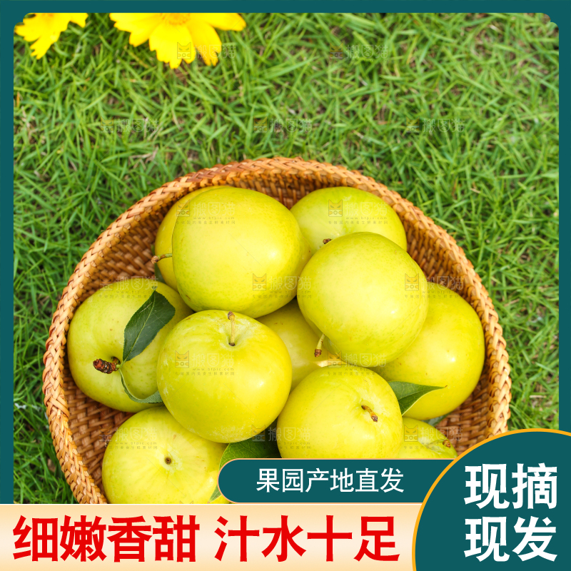 篮子里装着黄金奈李