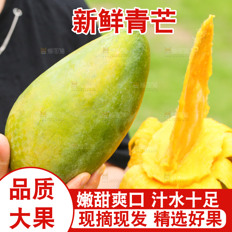 手里拿着青芒