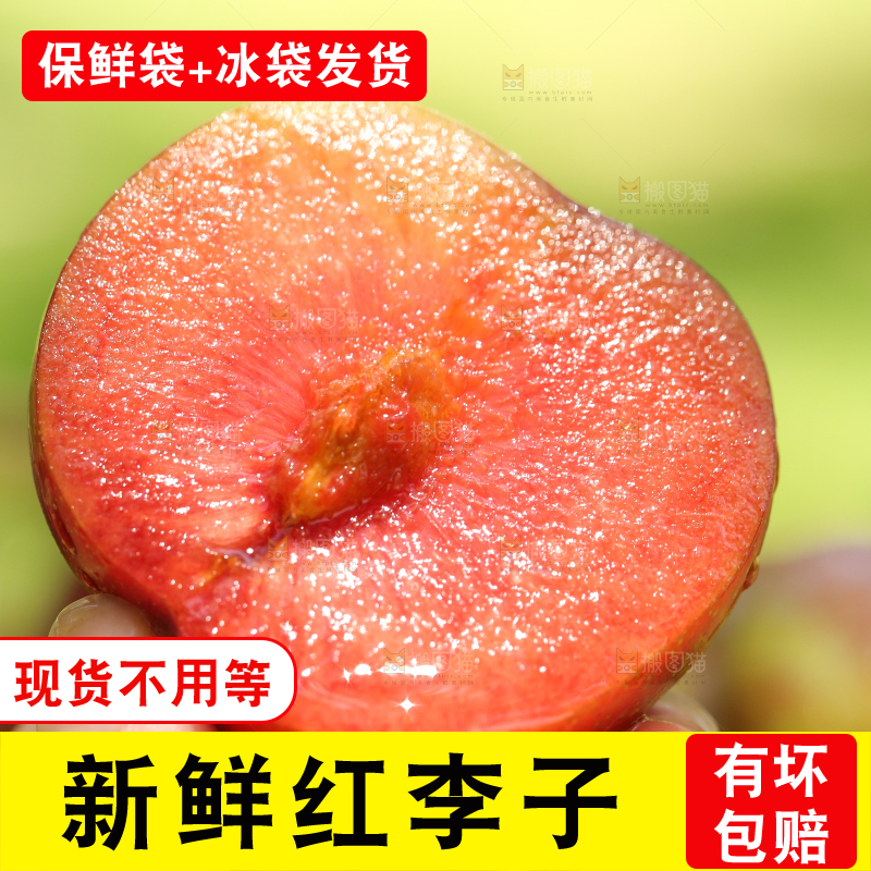 手里拿着三华李