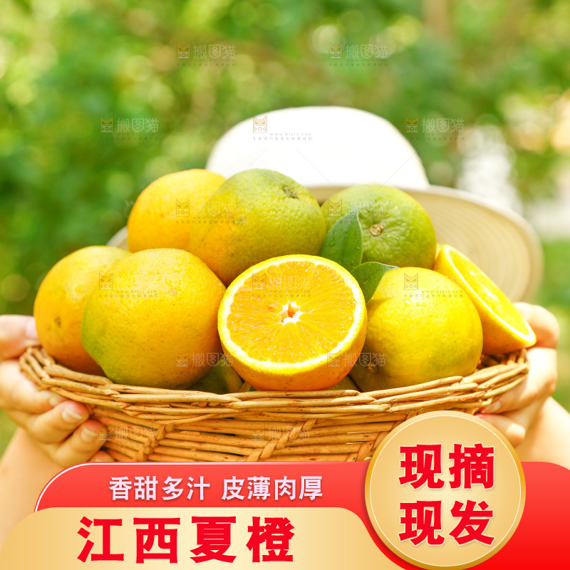 手里端着一篮秭归夏橙
