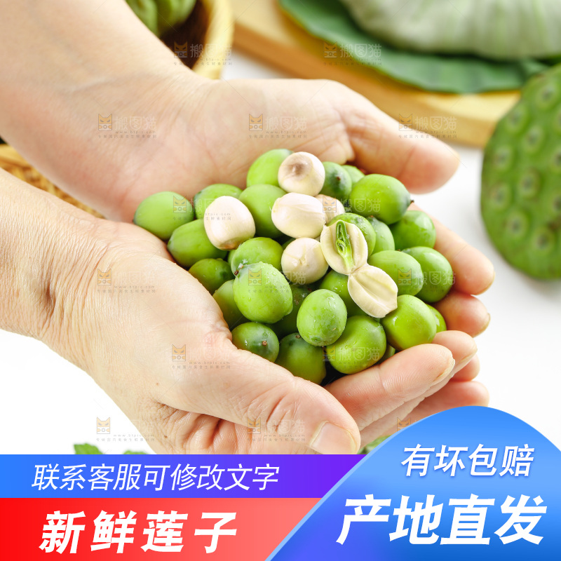 手里拿着新鲜莲子