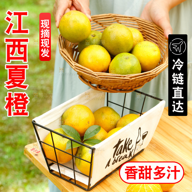 手里端着一篮秭归夏橙