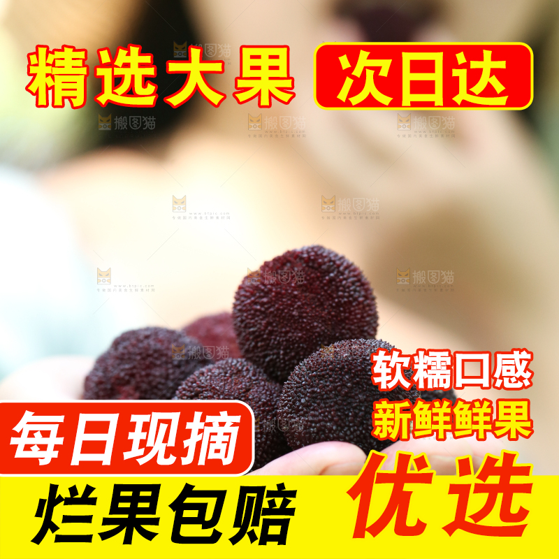 手里拿着野生杨梅