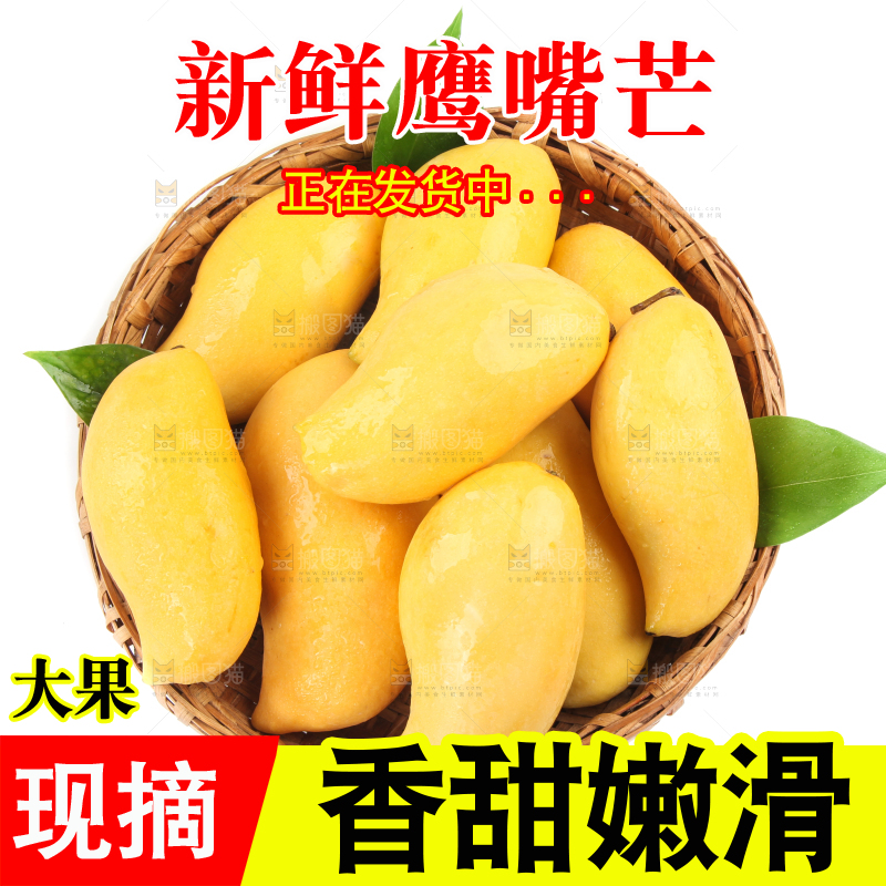 篮子里装着鹰嘴芒