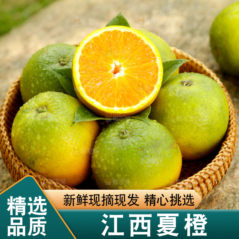 篮子里装着秭归夏橙