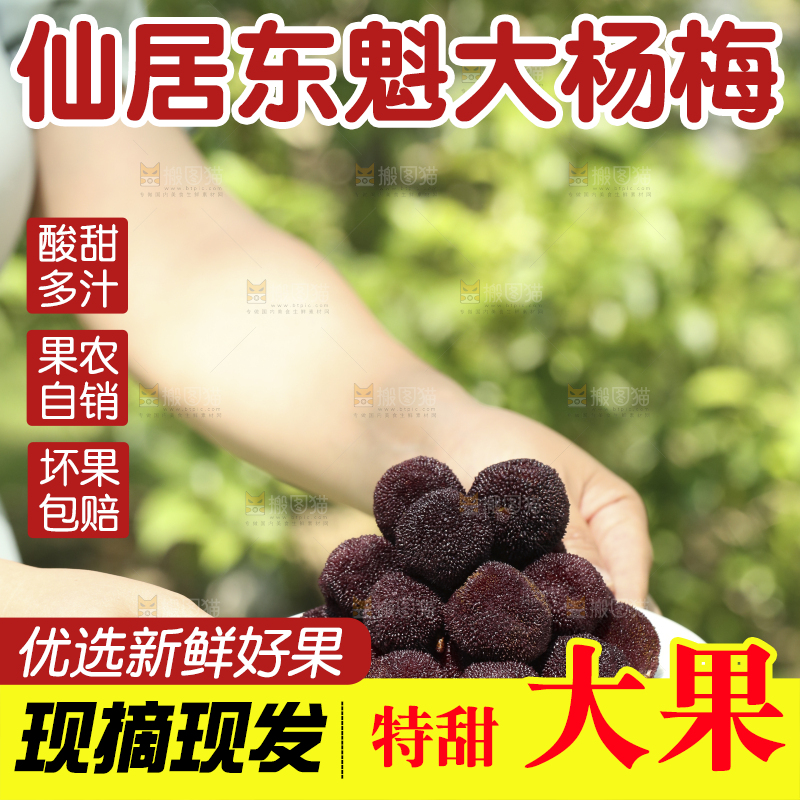 手里端着一盘新鲜杨梅