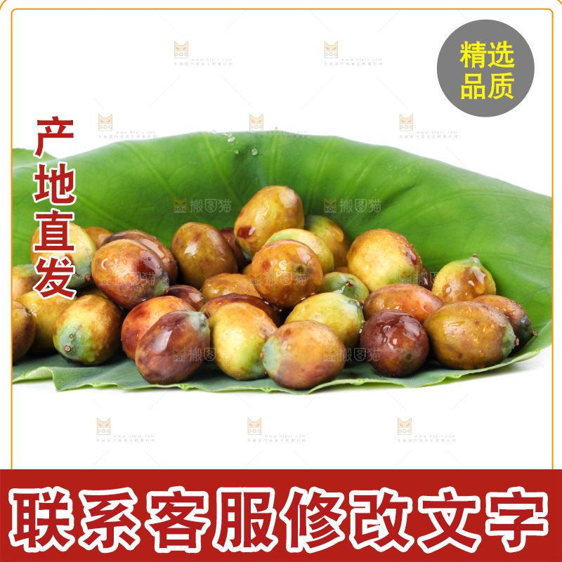 荷叶上摆放着莲蓬子