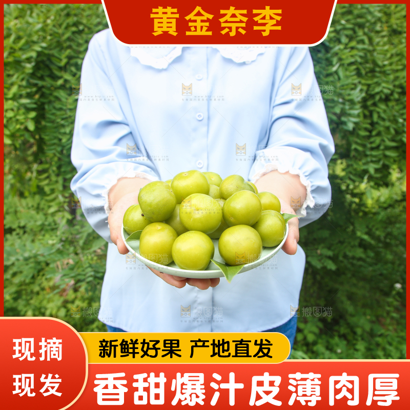 手里拿着一盘黄金奈李