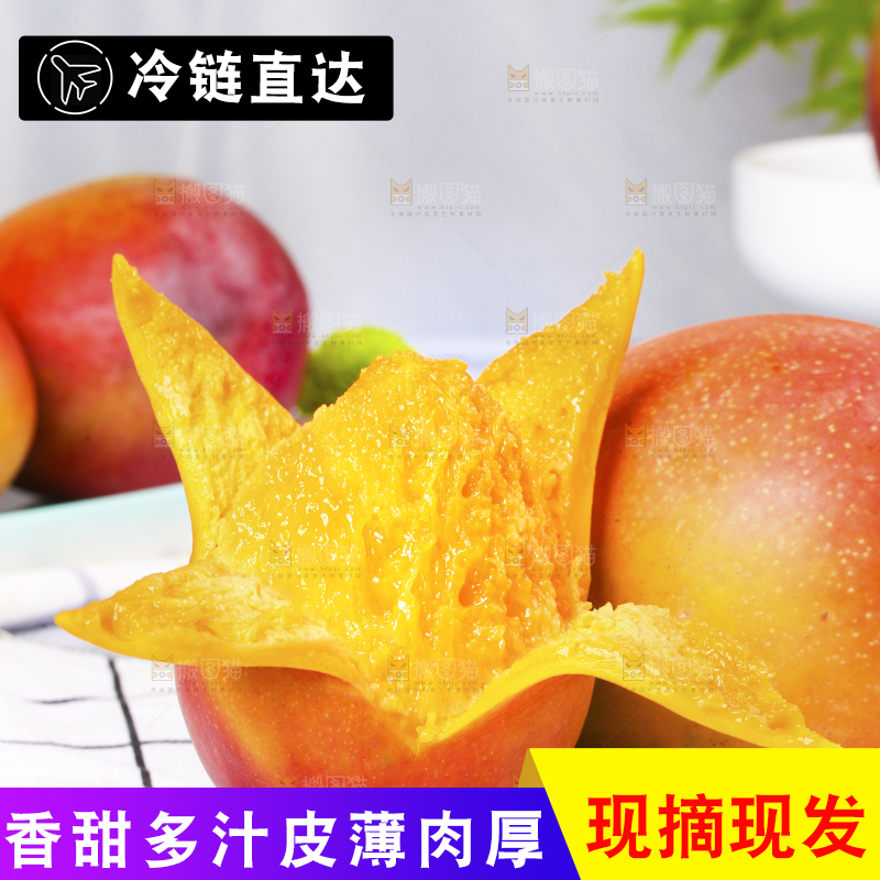 格子底上放着苹果芒