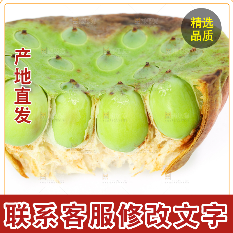 白底上摆放着莲蓬