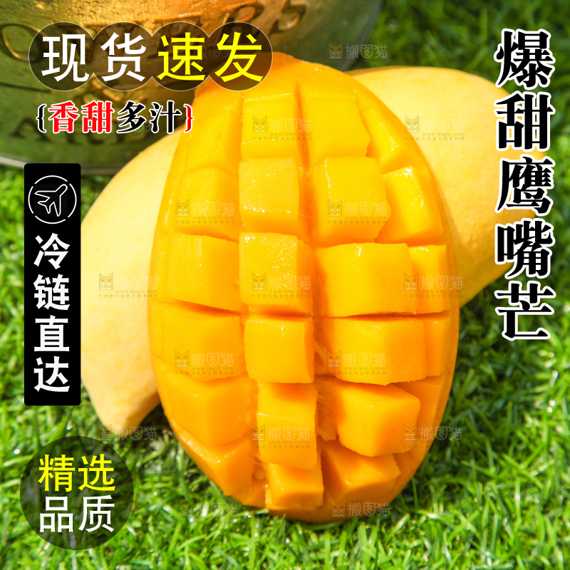 绿草地上放着一小桶鹰嘴芒