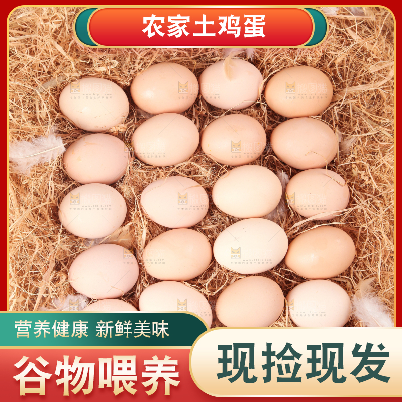草堆上摆放着散养土鸡蛋