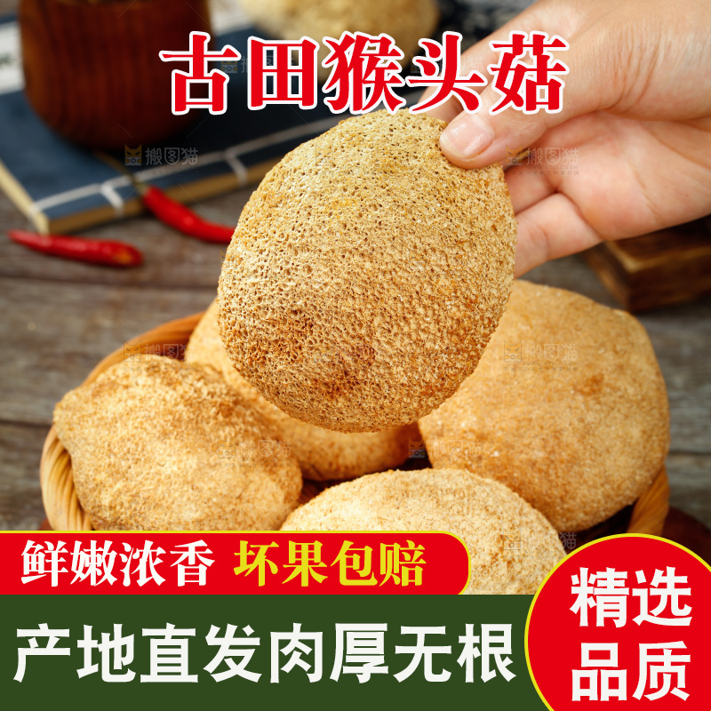 手里拿着猴头菇
