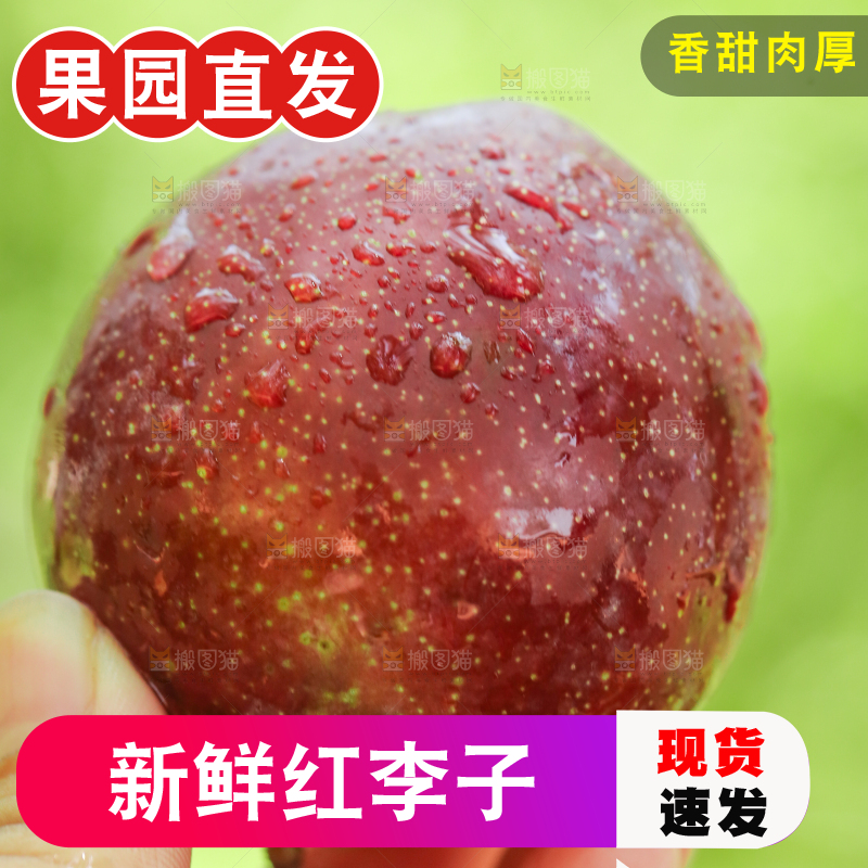 手里拿着红李子