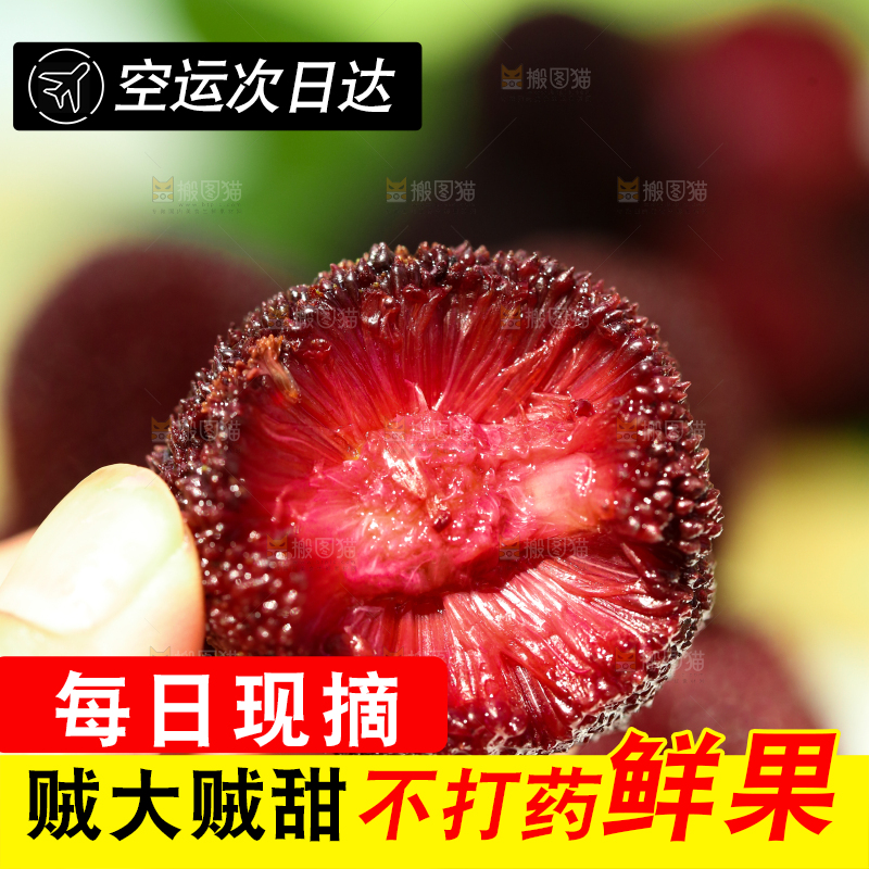 手里拿着圣生梅