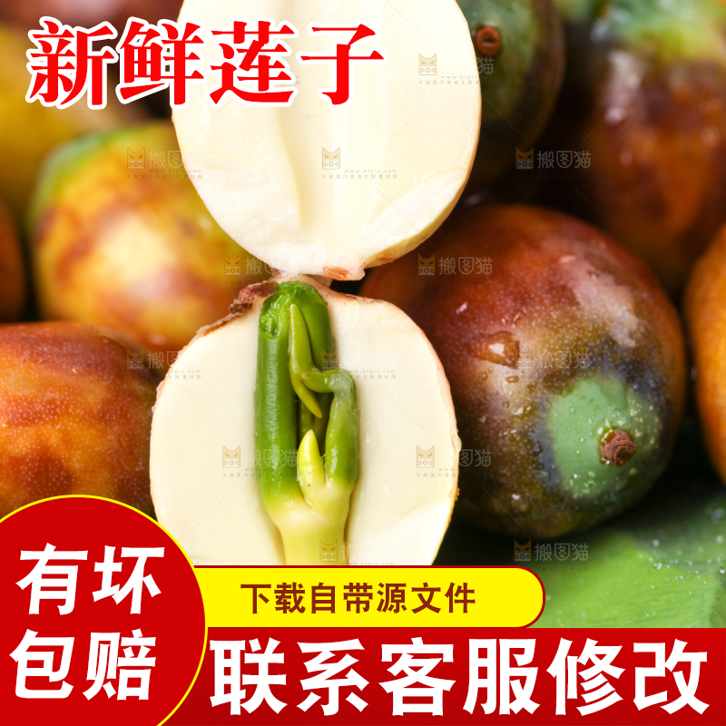 荷叶上摆放着莲蓬子