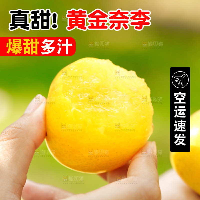 手里拿着九峰山黄金奈李