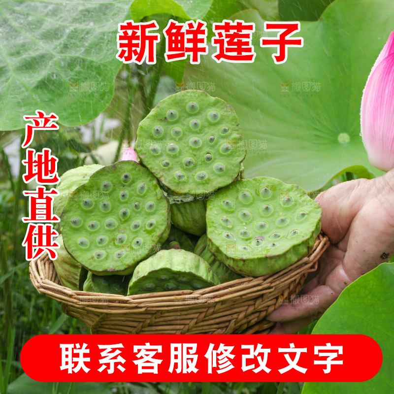 手里拿着一篮莲蓬子
