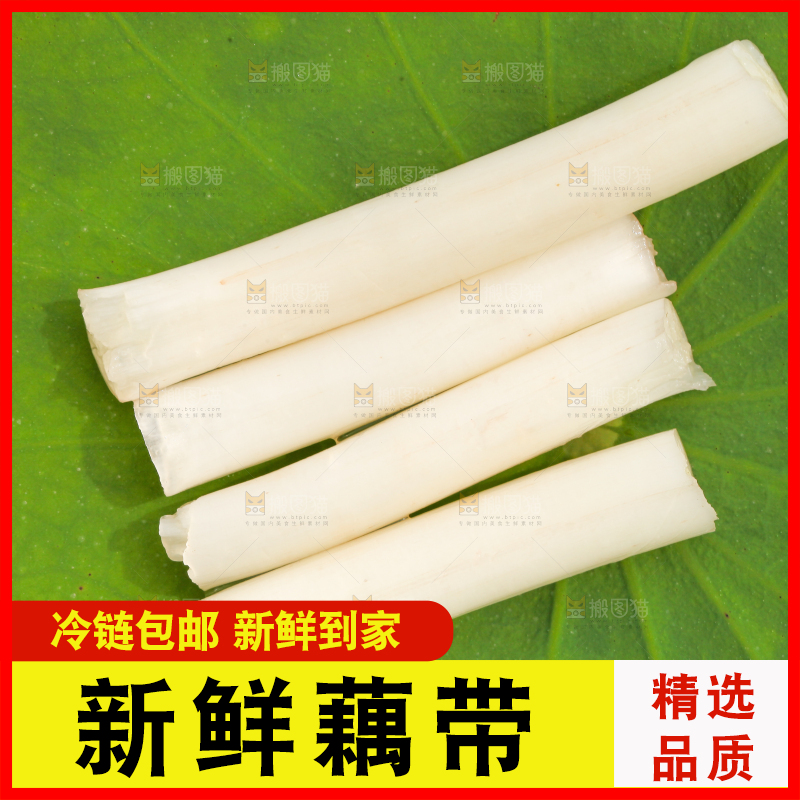 荷叶上放着藕带