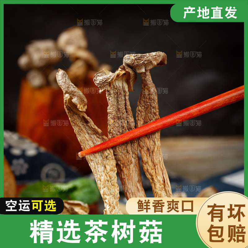 筷子夹着干茶树菇