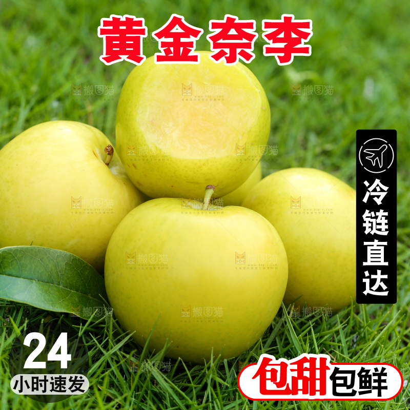 草地上摆放着黄金李