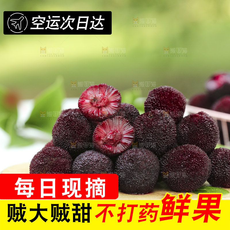 木底上摆放着圣生梅