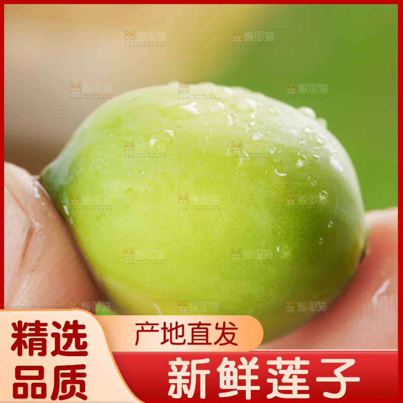 手里拿着莲子