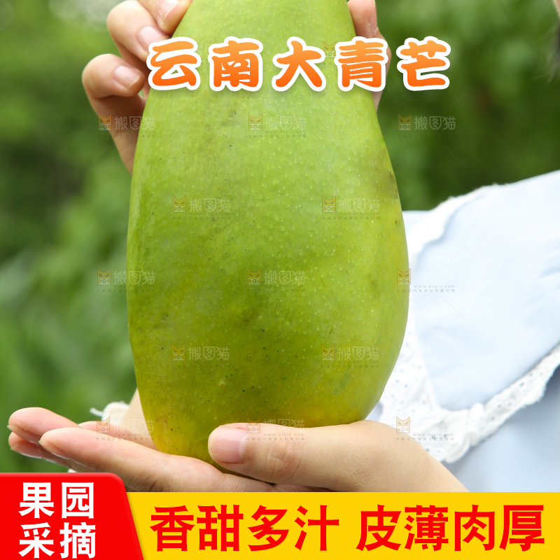 手里拿着青芒