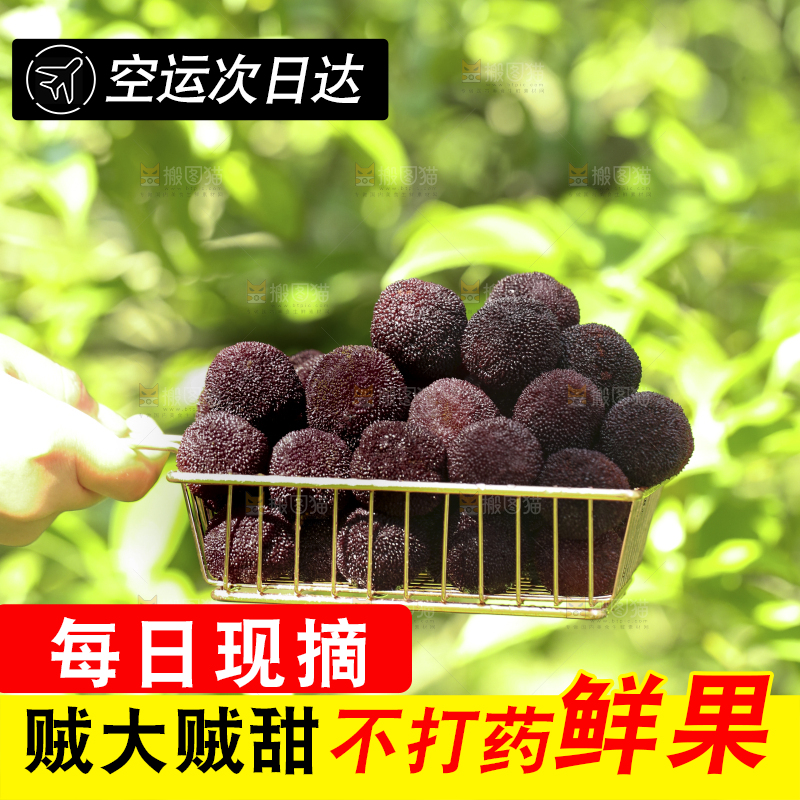 手里拿着一篮杨梅