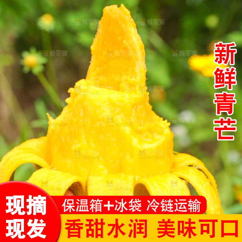 手里拿着剥皮的大青芒