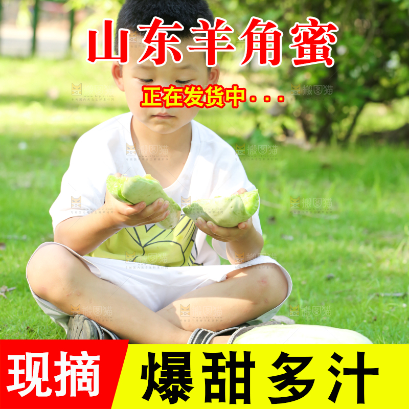 小男孩正在吃羊角蜜