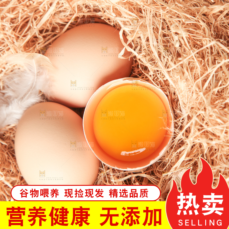 草堆上摆放着生鸡蛋