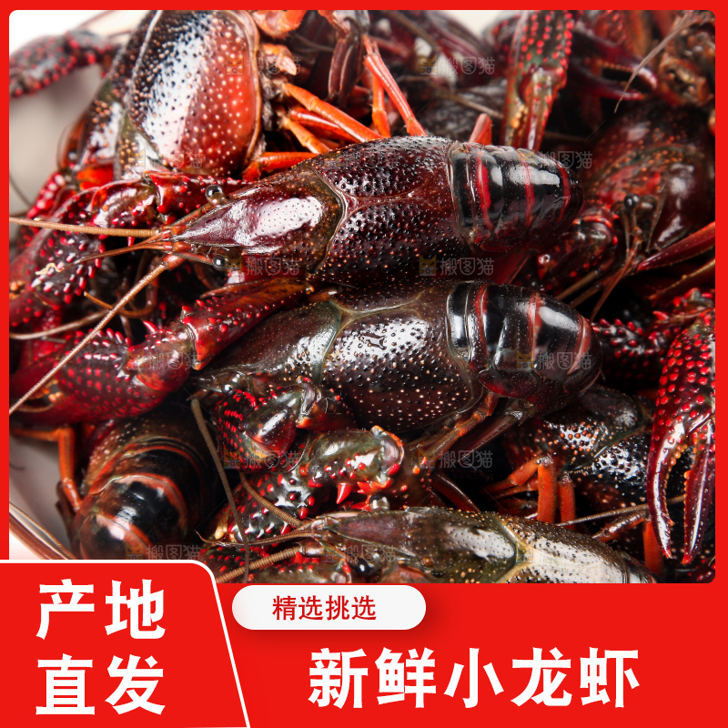 盘子里装着小龙虾