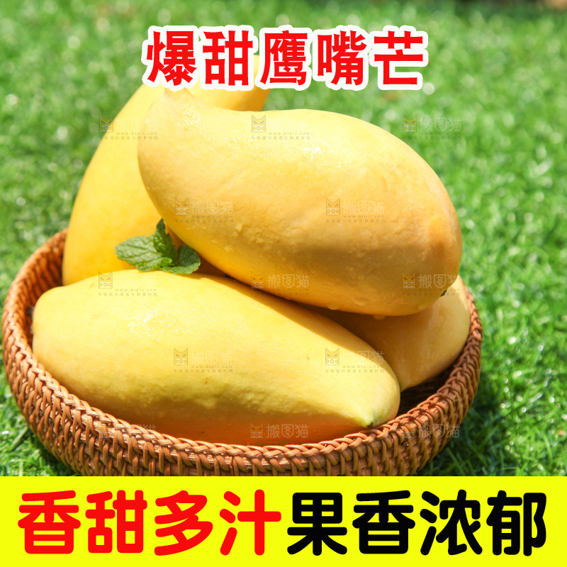 绿草地上放着一篮云南鹰嘴芒