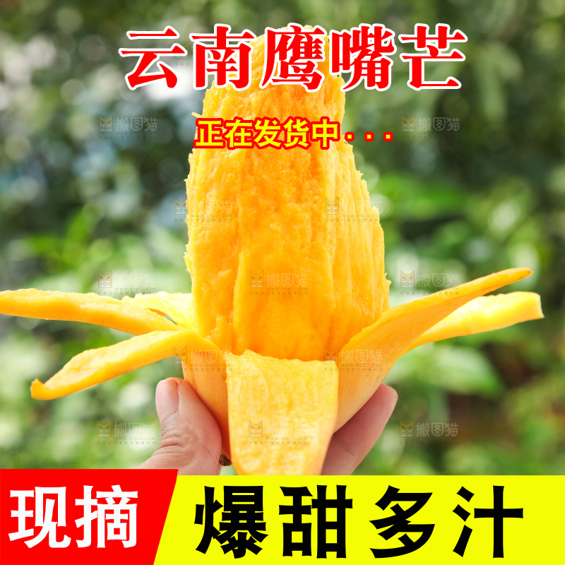 手里拿着象牙芒
