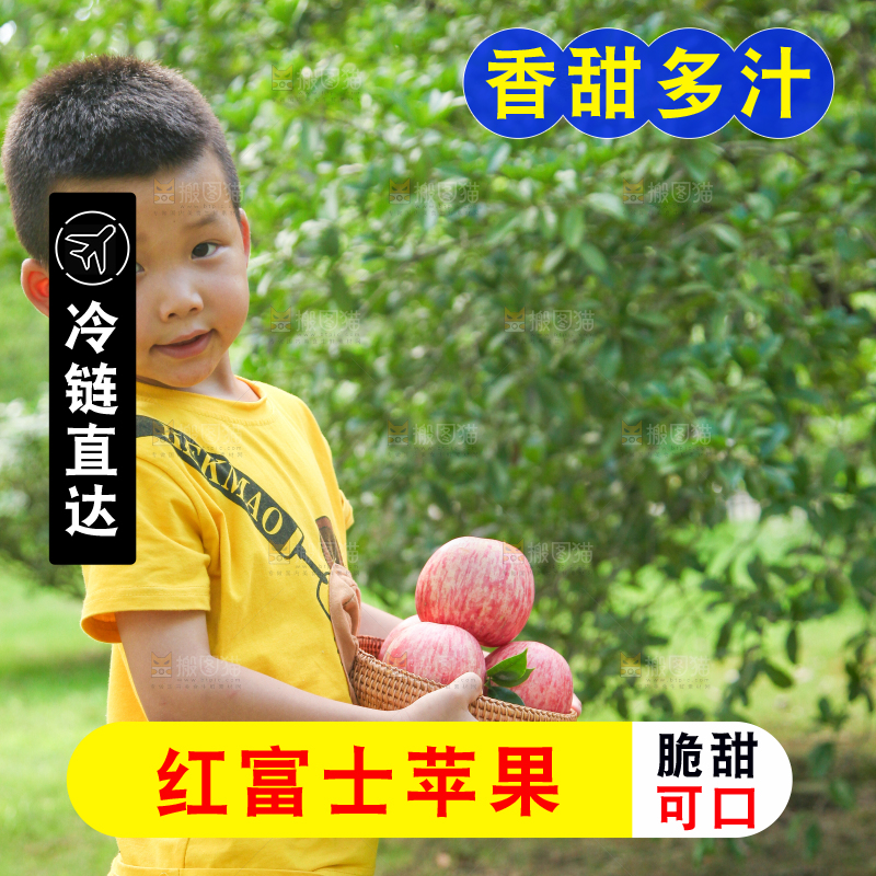 手里端着一篮陕西红富士