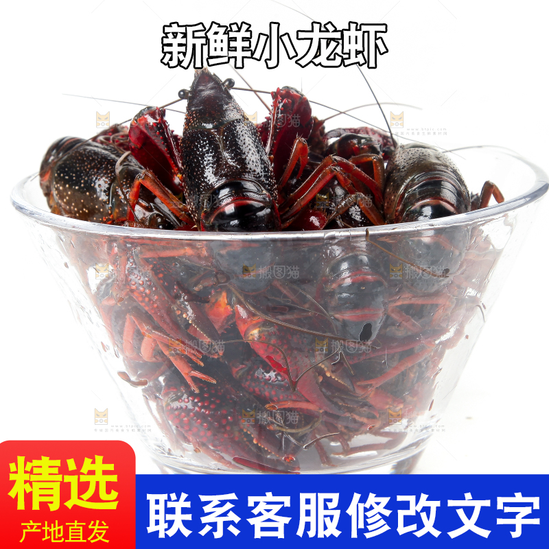 盆子里装着潜江小龙虾
